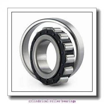 105 mm x 190 mm x 36 mm  NKE NUP221-E-MPA cylindrical roller bearings