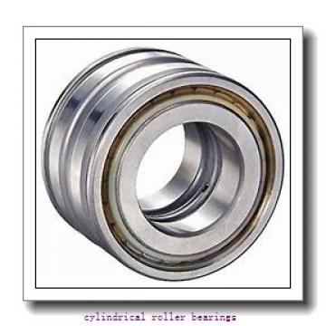 35 mm x 100 mm x 25 mm  NACHI NU 407 cylindrical roller bearings
