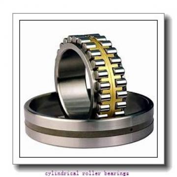 105 mm x 225 mm x 49 mm  KOYO NF321 cylindrical roller bearings