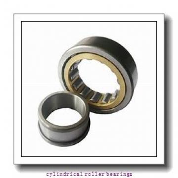 160 mm x 290 mm x 80 mm  NACHI NUP 2232 cylindrical roller bearings