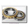 320 mm x 580 mm x 92 mm  NKE NU264-E-MA6 cylindrical roller bearings