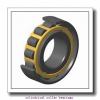 100 mm x 140 mm x 24 mm  NKE NCF2920-V cylindrical roller bearings