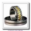 80 mm x 170 mm x 39 mm  NKE NJ316-E-TVP3 cylindrical roller bearings