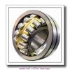 400 mm x 650 mm x 250 mm  NKE 24180-MB-W33 spherical roller bearings