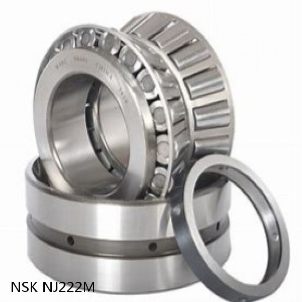 NJ222M NSK Tapered Roller Bearings Double-row