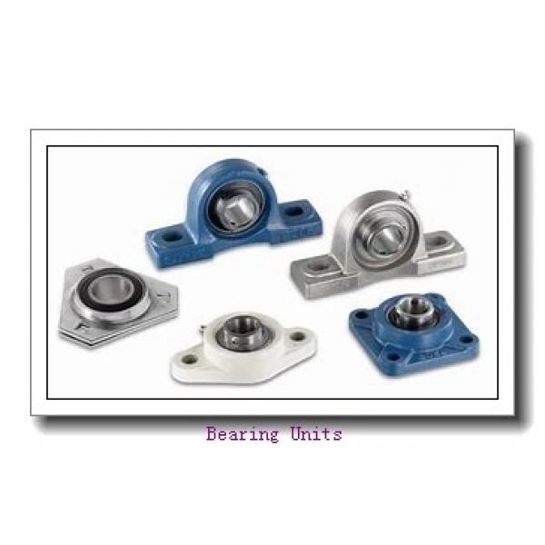 FYH BLP206 bearing units #2 image