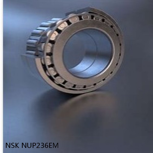 NUP236EM NSK Tapered Roller Bearings Double-row #1 image